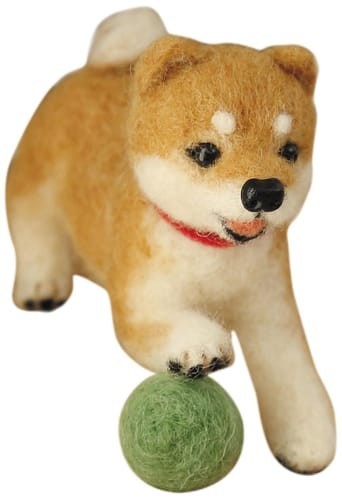 a random shiba from shibes.lol