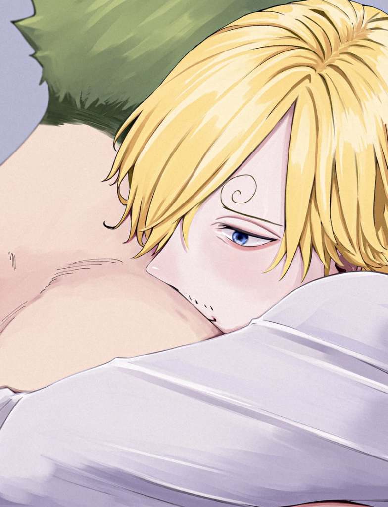 SFW yaoi art of the following characters : roronoa_zoro sanji_(one_piece)