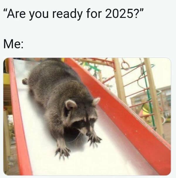 A raccoon trying to slide down gracefully into 2025 but the floor is lava