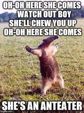 oh-oh here she comes
watch out boy, she'll chew you up
oh-oh here she comes
she's an anteater
(parody of man eater by Hall and Oates)