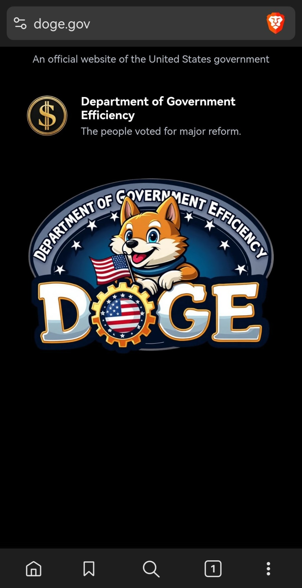 Screenshot of the doge.gov website showing a laughable cartoon ai image of a dog, possible a fox, holding an american flag with the word doge below and department for government efficiency above it