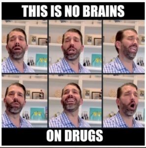 Meme of Don jr with different drug faces and the words this is no brains on drugs