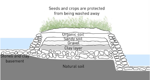 Schematic cut through a Waru Waru irrigation system of agriculature:
