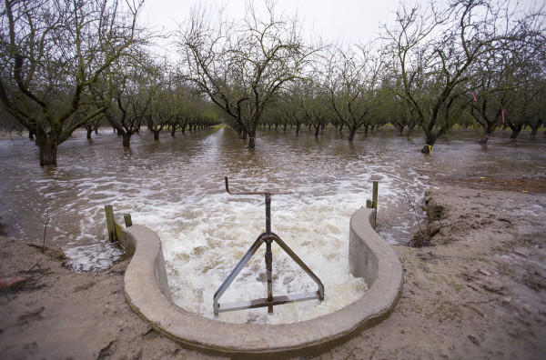 In a 2016 experiment, researchers flooded an almond grove in a bid to restore California’s groundwater.

UNIVERSITY OF CALIFORNIA, DAVIS

Source: https://www.science.org/content/article/can-california-s-floods-help-recharge-depleted-groundwater-supplies