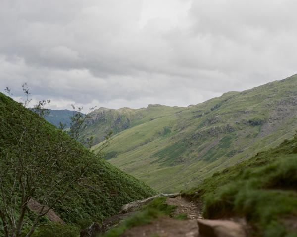 Under a cloudy sky, a patch of green fellside is illuminated brighter than the rest. Up closer, a dirt path with ferns all around.