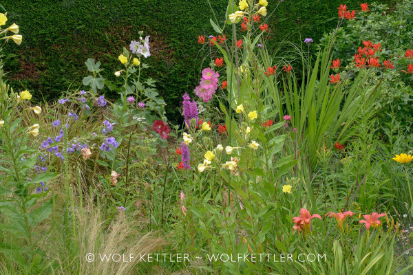 The photograph is of a densely planted and very colourful border. Blues, yellows, reds, pinks, everything.