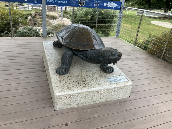 An oversize bronze sculpture of a turtle, seen from three quarters face on. It sits on a pediment inside a wood floored shaded enclosure at the top of spacious gardens

The pediment has a plate which reads “Introducing MRT - pron. Mr T
This oversized bronze sculpture of a male Mary River Turtle was commissioned by Fraser Coast Regional Council and created by Cezary Stulgis, a Maleny based visual artist.
His name stands for Mary River Turtle.”