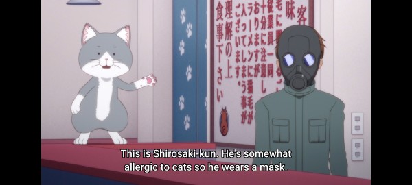 a grey and white cartoon cat motioning to a man in a gas mask

the cat says "this is Shirosaki-kun. He's somewhat allergic to cats so he wears a mask."