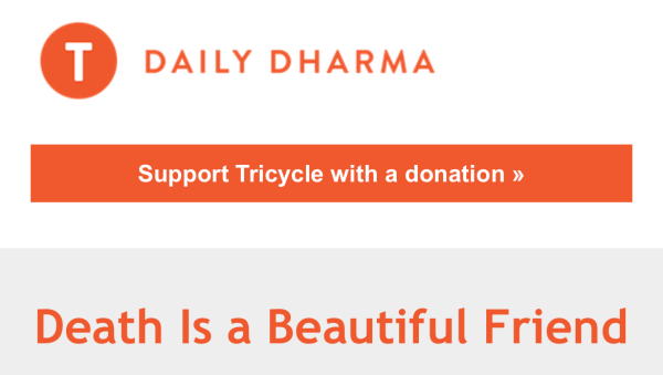 DAILY DHARMA

Death Is a Beautiful Friend