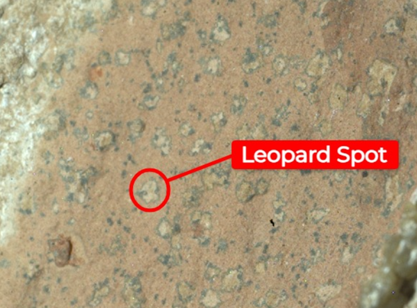 Close-up of the image of the “Cheyava Falls” rock with markings akin to leopard spots.