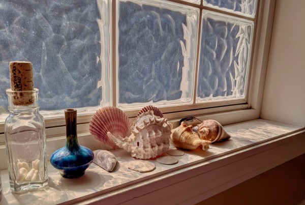 Morning light coming through a glass block window in my bathroom. Items on the window shelf are a small apothecary bottle with teeth inside. A small blue bud vase with a long neck, sandollars, and shells. The glass block window is casting shadow on the shelf that resembles shimmery water. White window casement and camel colored wall. 