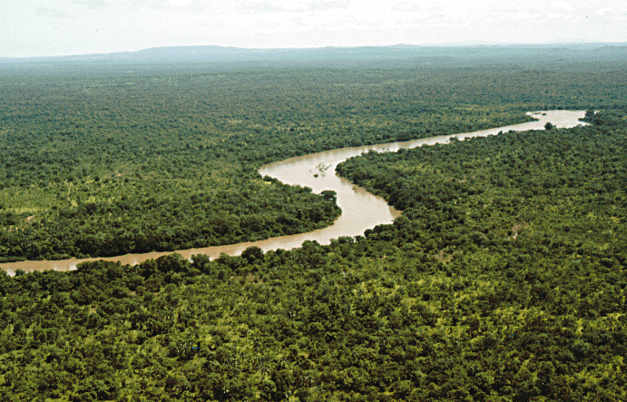 an image of a tropical river meandering through a dense green forest // in the national park Niokolo-Koba in Senegal // photo: #wikipedia