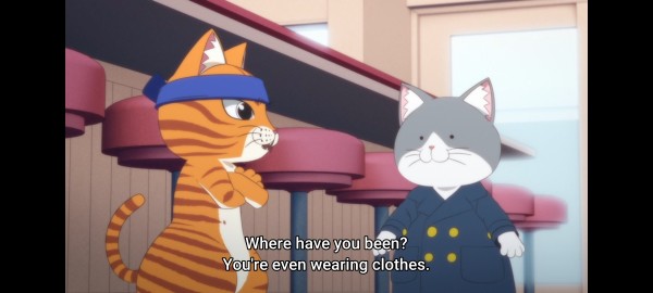 An orange cartoon tabby wearing a blue headband with it's arms crossed is talking to a silver haired xat wearing a blue jacket

the tabby says "where have you been?" you're even wearing clothes"