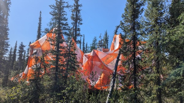 parachute hanging from trees