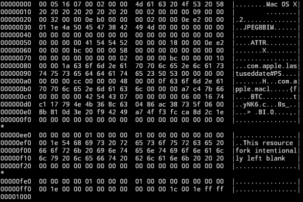 Screenshot of a hexdump, showing an AppleDouble file, containing the text "This resource fork intentionally left blank"