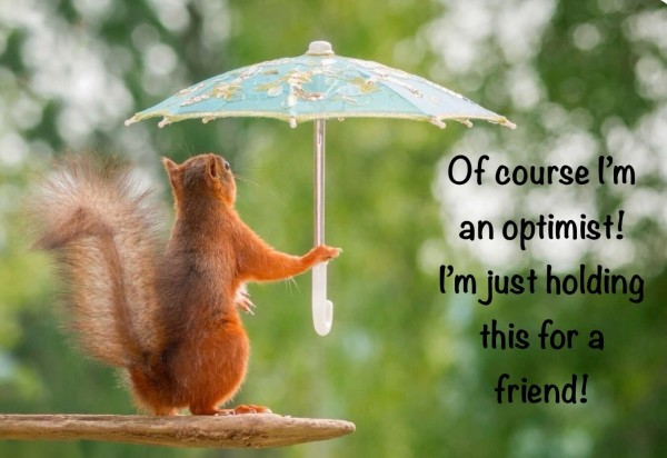 Picture a red squirrel facing away from us holing a blue embroidered umbrella.
The caption reads: “Of course I’m an optimist ! I’m just holding this for a friend! ”