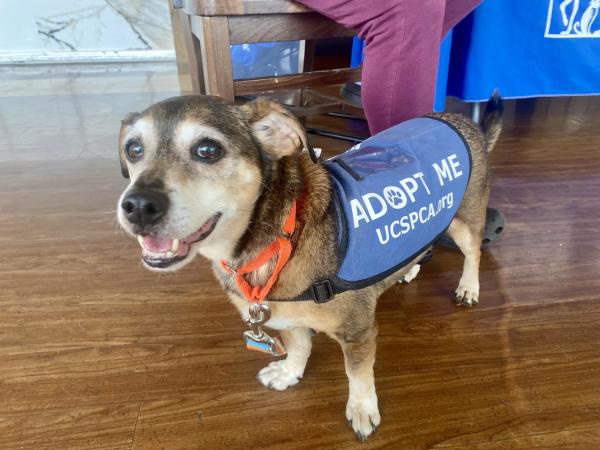 Jasmine wider shot with adopt me vest.