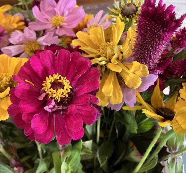 A colorful bouquet of bright pink, yellow and purple flowers. 