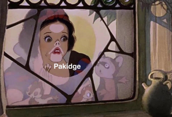 The “Pakidge” meme. You’ll laugh, you’ll cry, it’ll change your life.