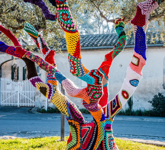 a sprawling tree victim of total yarn bombing