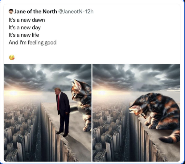 Two panels -- one with a figure of Trump standing at the edge of a cliff over a vista of tall buildings, another with a giant tabby cat knocking him off, credited to the Threads account Jane of the North, with the words It's a new dawn  It's a new day,  It's a new life,  And I'm feeling good.