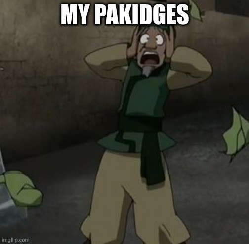 Meme of the cabbage-guy from Avatar the last Airbender shouting "My Pakidges".