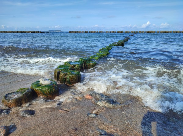 Blick vom Strand über die Ostsee, am Horizont eine waagerechte Reihe Buhnen, im Vordergrund eine schräge, mit Algen überwachsene Reihe Buhnen, die von Wellen umspült wird. Der Himmel ist blau mit kleinen Wölkchen. Links im Hintergrund ist die Insel Hiddensee zu sehen.