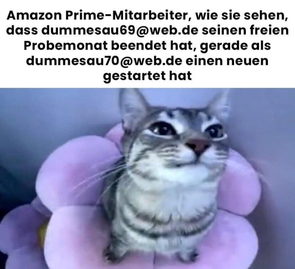 ich_iel