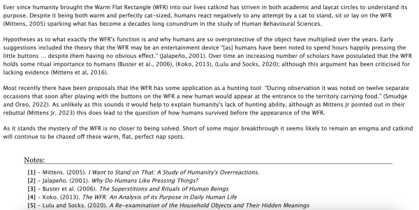 Excerpt from Dr Fluffy Jones's examination of the warm flat rectangle 