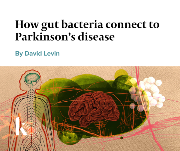 Disturbances within the microbiome may affect brain health via the vagus, a bundle of nerves that snakes between the intestines and the central nervous system, potentially triggering Parkinson’s and other disorders. CREDIT: KNOWABLE MAGAZINE