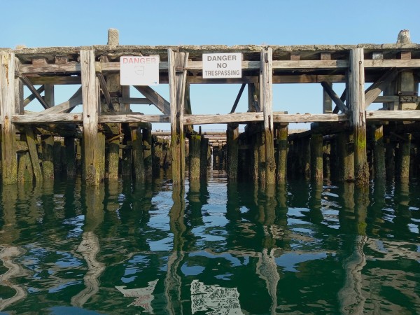 Photograph of wooden pilings in a greatly decayed pier, with old and new No Trespassing signs.