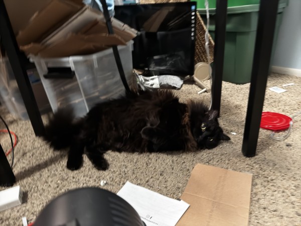 A black cat lying on its back under a table amidst a cluttered environment with containers, cardboard, and miscellaneous items scattered around.