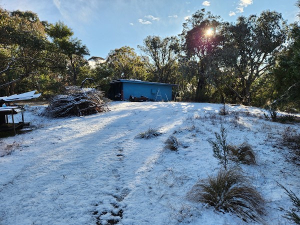 Snow surrounded by trees and a small house, blue sky. 