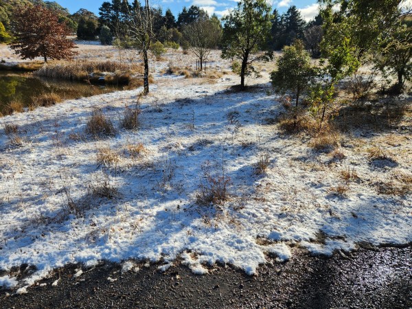 Snow, trees, a bit of a dam.