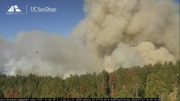 Image of growing cloud of smoke above trees