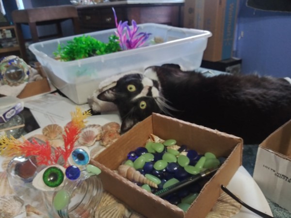 A craft space with an upside down domino cat