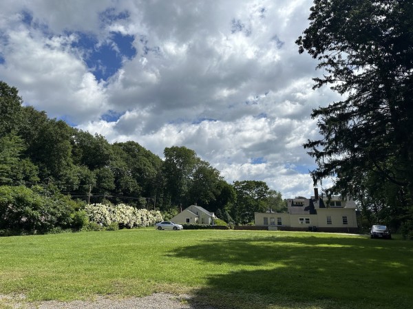 A green lawn in the foreground, half in sunshine and half shaded by tall evergreen trees on the near right. In the middle distance a line of green trees slopes down toward two yellow cottages and some abundantly blooming white hydrangeas. But the picture is dominated by the sky in the distance, full of cumulus clouds showing highly contrasting shadows and bright sunlight, with a few patches of blue sky showing through.