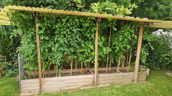 Meine "Tomatenplantage".

Ein länglicher  Kasten, etwa 4 auf 0.5 Meter und ca. 40cm hoch in dem etwa 10 Tomatenpflanzen wachsen. Das ganze ist überdacht.