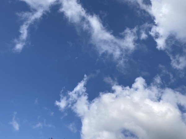  Blauer Himmel, weiße Wolken, dazwischen klein der Halbmond.