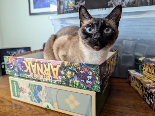 A siamese cat laying in the box lid of a boardgame, looking at the camera with an innocent look and bright blue eyes. The boardgame lid is for The Lost Ruins Ruins of Arnak a game that has abstract guardians protecting archeological sites.