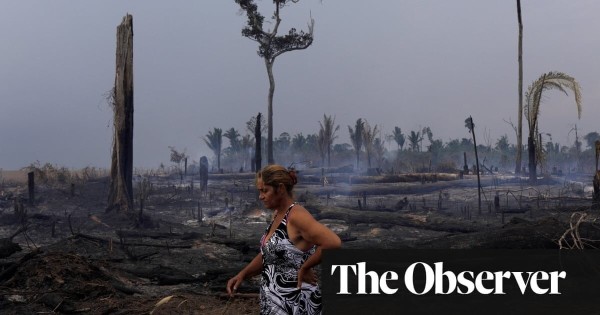 ‘Morally, nobody’s against it’: Brazil’s radical plan to tax global super-rich to tackle climate crisis