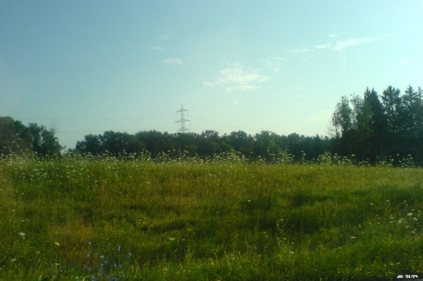 Farbfoto einer Lanschaft auf der Schwäbischen Alb, aufgenommen aus dem Fenster eines fahrenden Autos mit einem Handy von 2006. Im Vordergrund eine grüne Wiese mit vielen Blumen, dahinter ein Wald, aus dem in der Mitte ein Strommast aufragt. Blassblauer Himmel mit verstreuten kleinen Wolken.