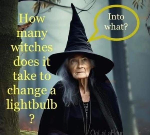 An old witch, black cloak, pointy hat, stood in a misty woodland.
Text: "How many witches does it take to change a light bulb?"
Witches text bubble, "Into what?"