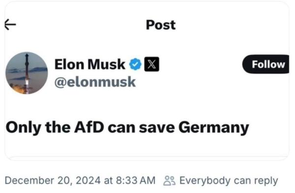 Musk tweets only afd can save Germany 