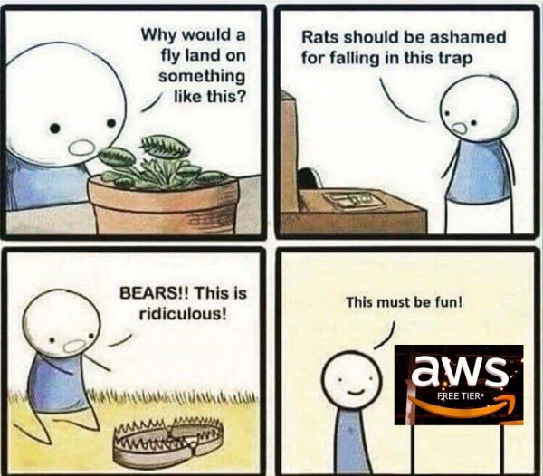 The IT meme concerns the dangers of using the AWS Free Tier FOR inexperienced developers and sysadmins. It compares the Free Tier to traps that catch unsuspecting users with billing that can bankrupt them. The meme warns that users should be aware of the potential costs of using the Free Tier, as they may be charged if they exceed the free usage limits.