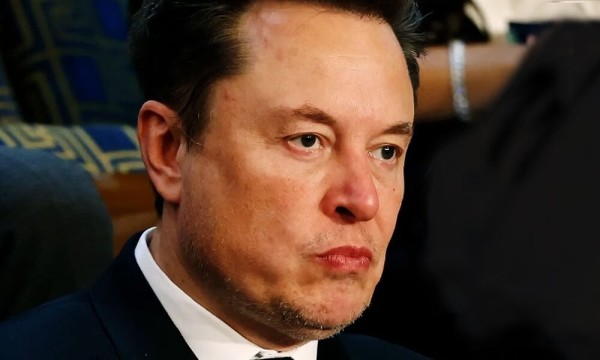 'WTF': Elon Musk Sparks Fresh Outrage After Endorsing German 'Neo-Nazi Party'