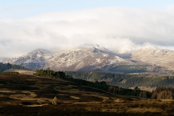 A colour photograph of large snow capped mountains against a pale blue sky. In front lines of trees and rugged ground. 