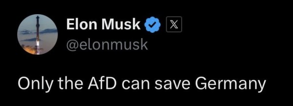 Tweet from Elon Musk: only the AFD can save Germany.