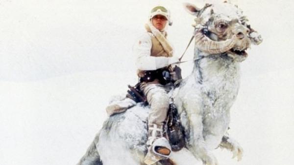 Mark Hamill as Luke Skywalker in winter attire rides a large, furry tauntaun in a snowy landscape.