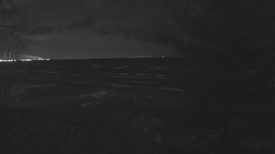 A dry, grassy hillside with a single pine and a few trees beyond which the lake is visible to the horizon. A tiny strip of beach is just visible at the bottom of the hill. // Image captured at: 2024-12-21 08:28:53 UTC (about 4 min. prior to this post) // Current Temp in Gary: 23.08 F | -4.96 C // Precip: clear sky // Wind: WNW at 8.053 mph | 12.9 kph // Humidity: 83%